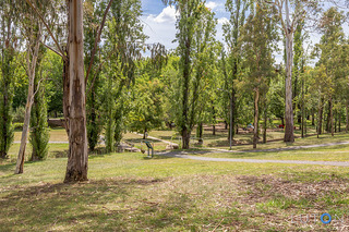 Telopea Park (2016-02-24)