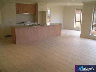 Family/Kitchen (2006-01-24)