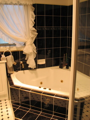 Bathroom (2011-03-18)