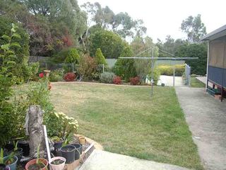 Rear garden (2007-04-26)