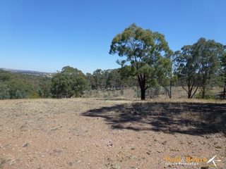 View (2013-02-08)
