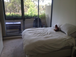 Bed 1 (2015-07-03)