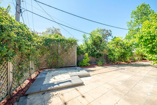 Back Yard (2016-11-22)