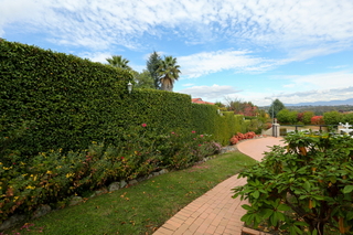 Garden (2016-05-20)