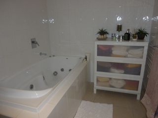 Bathroom (2011-03-11)