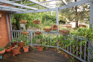 Patio (2013-02-19)