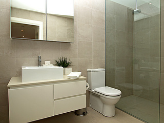 Bathroom (2008-11-05)