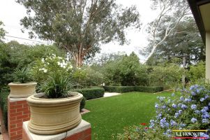 Backyard (2011-06-22)