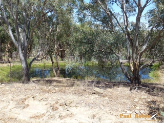Dam (2013-02-08)
