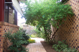 Side Garden (2004-12-10)