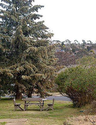 Front garden (2005-08-26)
