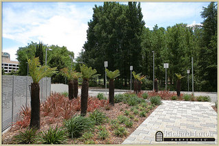 Garden (2010-07-14)