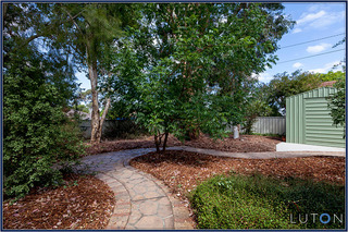 Backyard (2012-12-20)