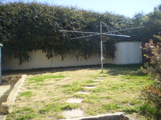 Backyard (2014-03-13)