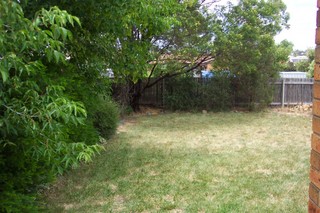 Backyard (2006-01-20)