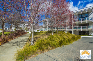 Main Photo (2018-03-15)