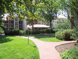 Courtyard Within (2010-08-17)