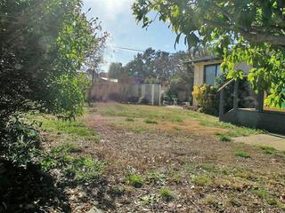Rear yard (2008-08-05)