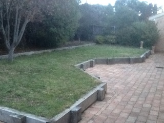 Backyard (2014-07-23)