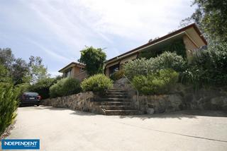 Frontyard (2012-01-23)