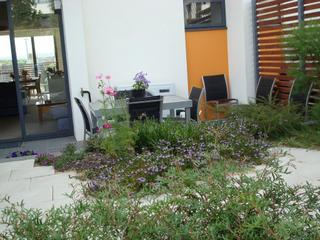 Rear Garden (2010-03-25)