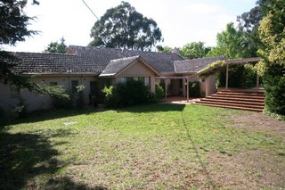 Standard Photo (2011-11-08)