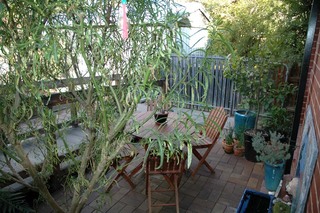 Alfresco Dining (2005-07-24)