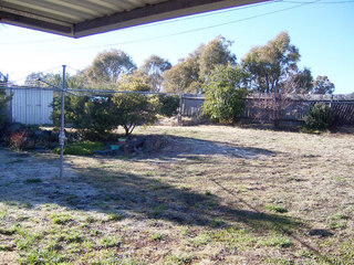 Backyard (2006-06-28)