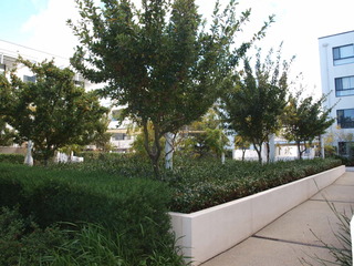 Communal Gardens (2014-07-17)