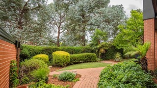 Front yard (2017-08-24)