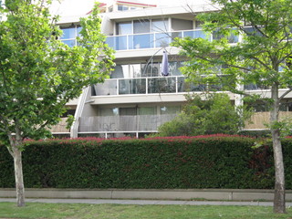 Main (2010-12-26)