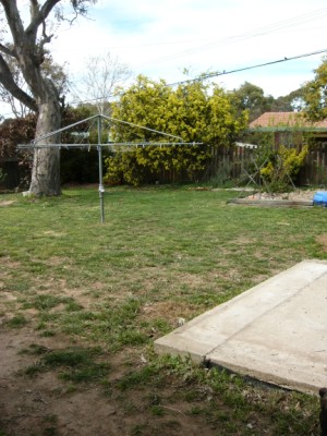 backyard (2006-09-19)