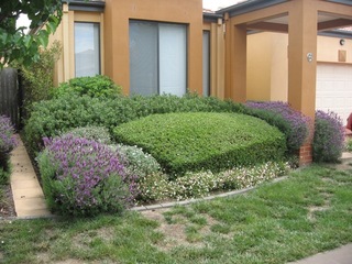 Front View (2013-07-16)