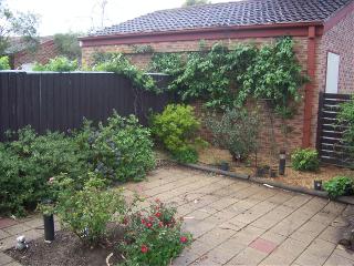 Frontyard (2008-01-03)
