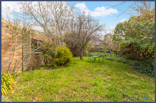 Back Garden (2014-08-26)