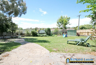 Backyard (2005-11-25)