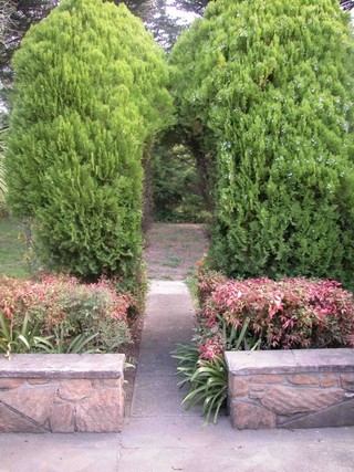 Garden (2005-03-07)