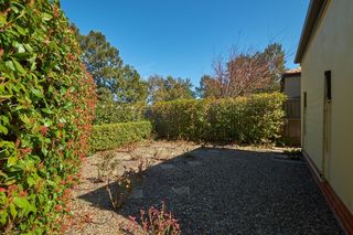 Standard Photo (2018-09-13)