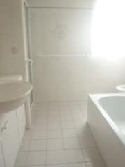 Bathroom (2013-01-03)