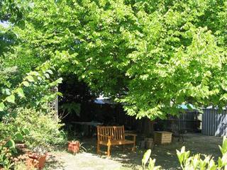 Backyard (2004-02-03)