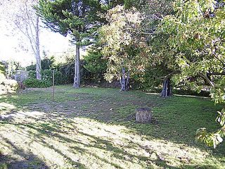 Rear garden (2005-06-08)