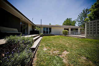 Portion of rear yard (2009-11-12)