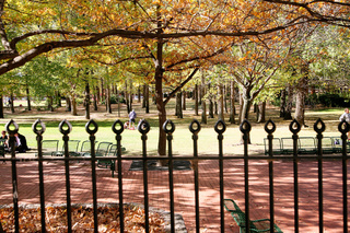 Main Photo (2014-09-22)