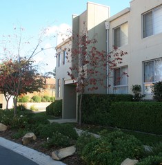 Main (2010-05-22)