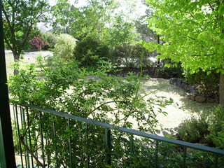Front yard (2006-12-06)