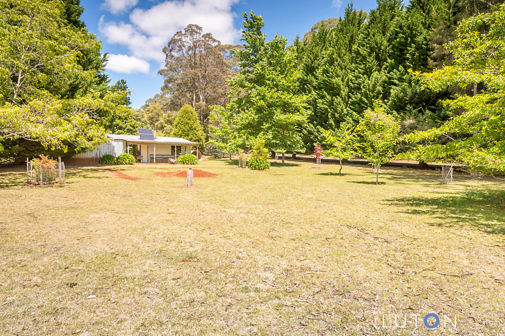 4213 Braidwood Road, Sassafras NSW 2622 Rural for Sale Allhomes