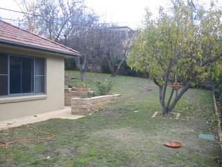 Backyard (2007-06-20)
