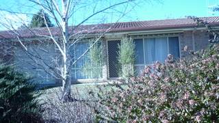Frontyard (2014-07-23)