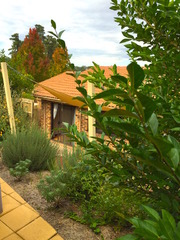 Garden (2015-12-01)