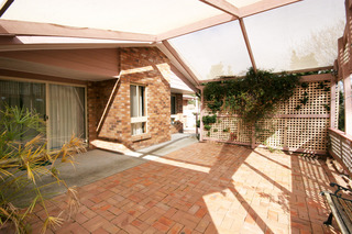 Frontyard (2007-10-04)
